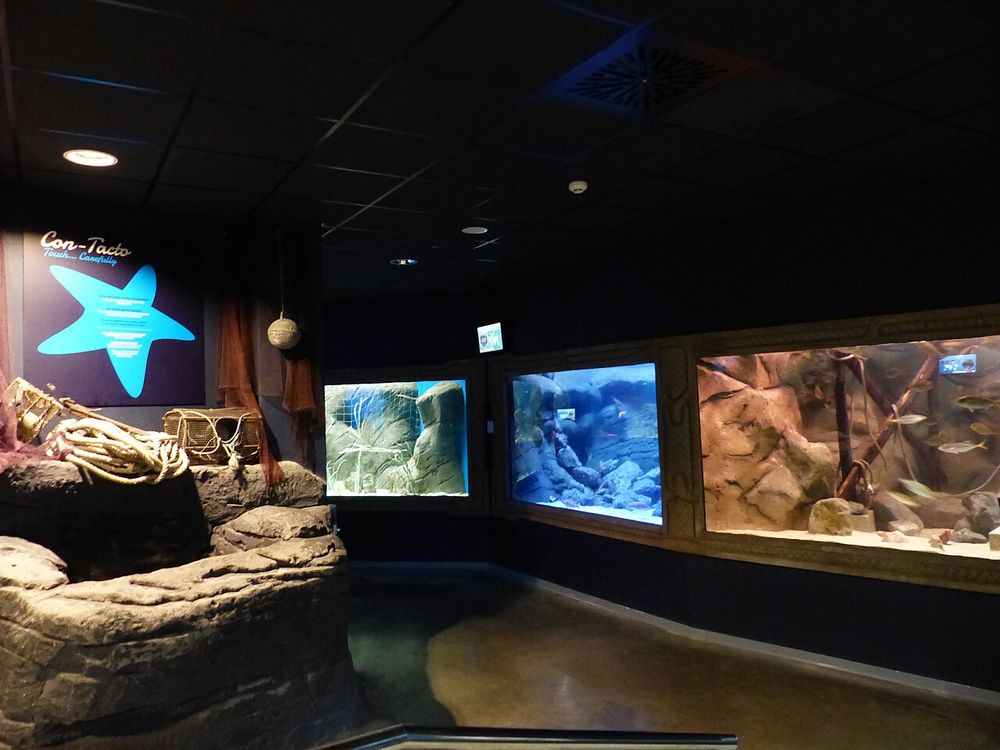 Interior del Acuario de Sevilla con peces en un gran tanque