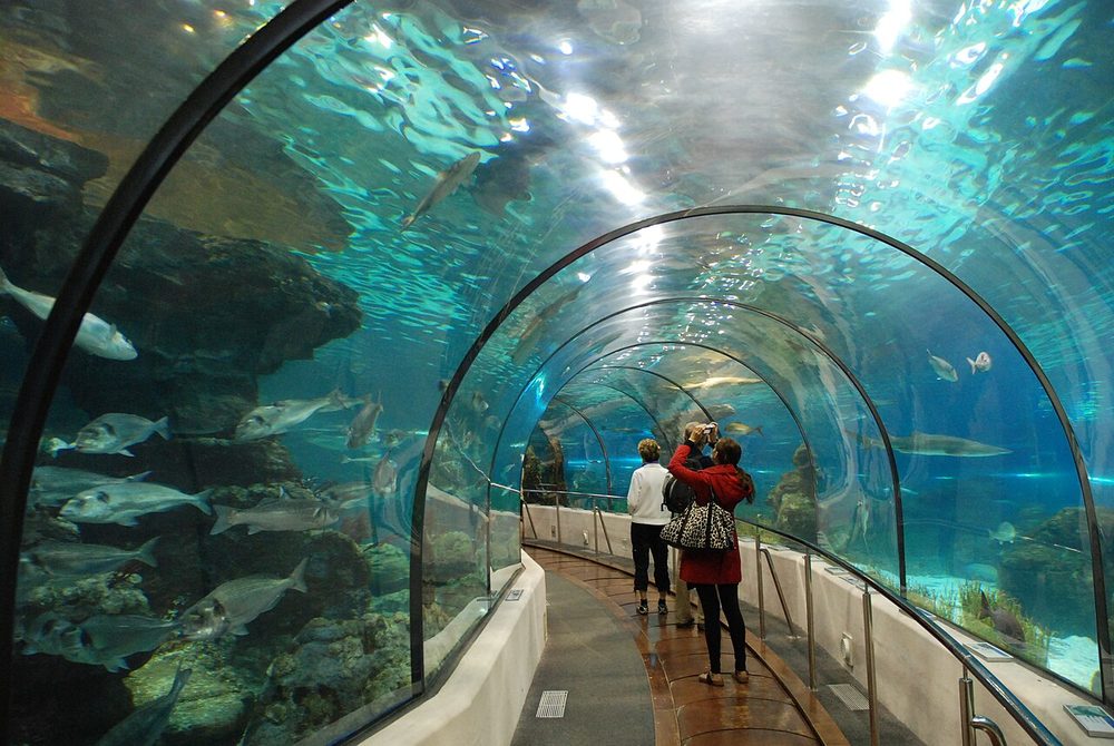 Túnel submarino de L'Aquàrium de Barcelona