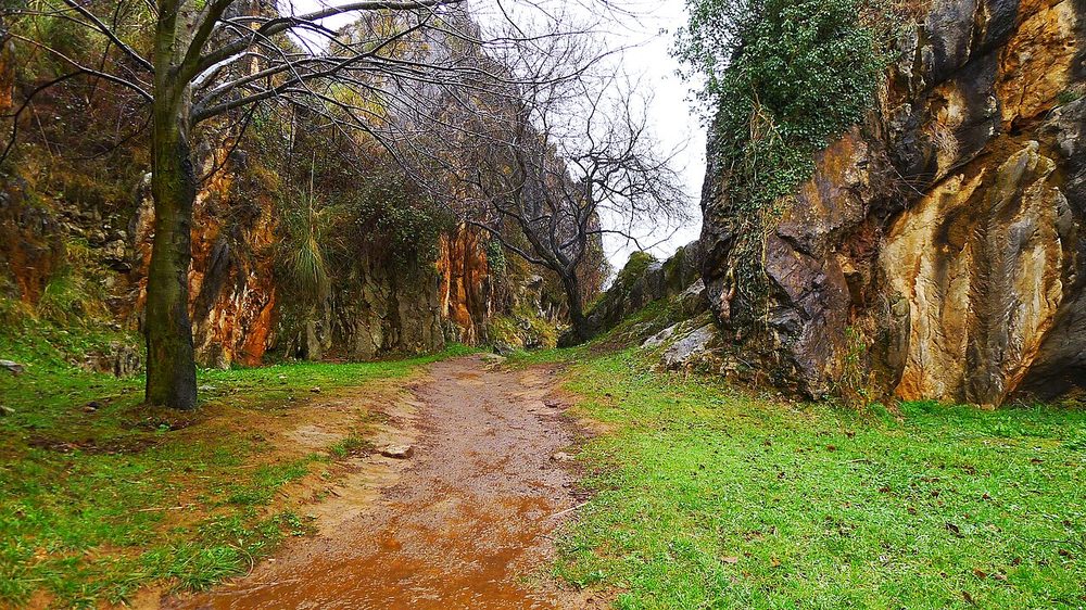 Paisaje kárstico del Parque de la Naturaleza de Cabárceno